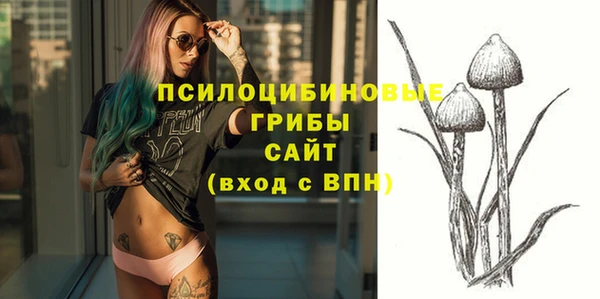 2c-b Заводоуковск